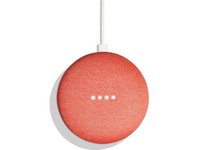 google home coral